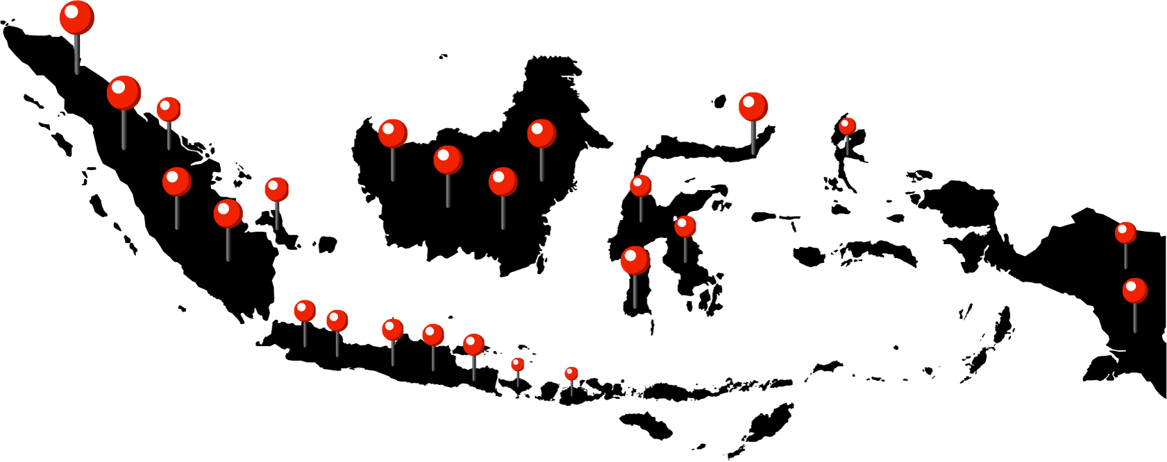 Website (26)